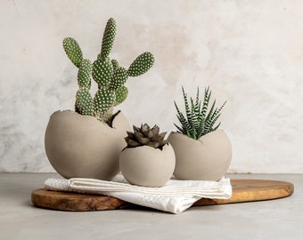 Set of 3 Concrete Gray Rustic Handmade Eclectic Ceramic Planter Pot, Unique Modern Bohemian Home Decor, Indoor Decorative Planters Set