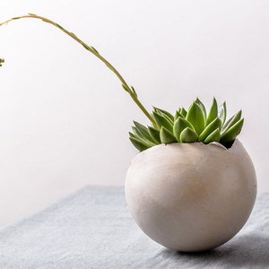 Medium White Ceramic Planter for Succulent, Round Minimalist Vase For Flowers