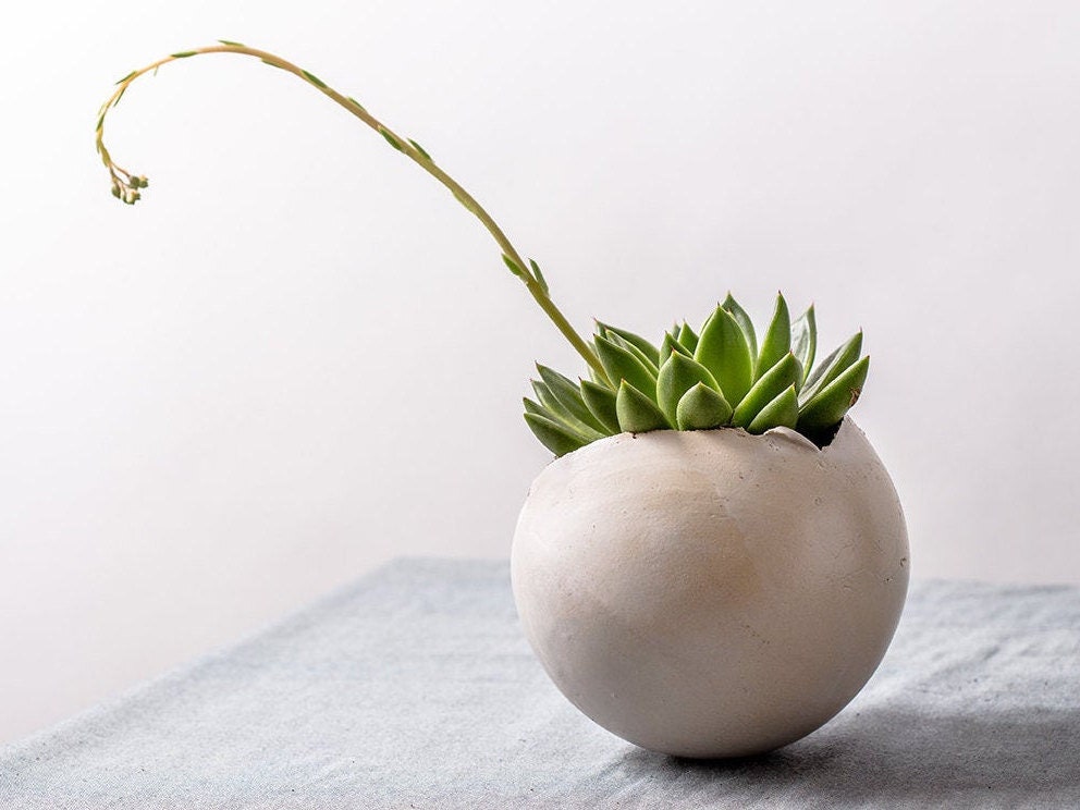Jardinière en Céramique Blanche Moyenne Pour Vase Minimaliste Succulent et Rond Fleurs