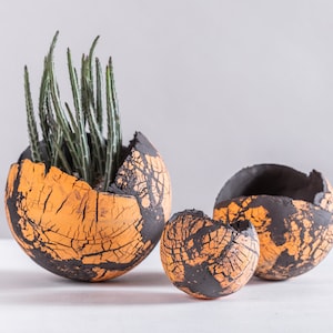 May include: A set of three ceramic planters with a cracked, textured design. The planters are orange with black detailing. The largest planter contains a green plant. The planters are different sizes, suitable for home decor.