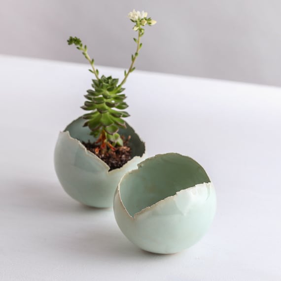 Vaso Per Piante Moon Egg Di Jo Lavie, 15,2 Cm, Design Uovo In Resina Opaca, Per Interni/Esterni, Nero