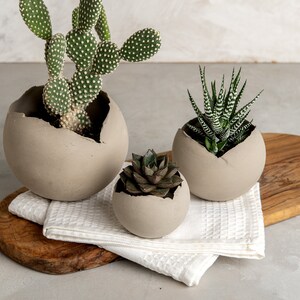 Set of 3 Concrete Gray Rustic Handmade Eclectic Ceramic Planter Pot, Unique Modern Bohemian Home Decor, Indoor Decorative Planters Set image 2