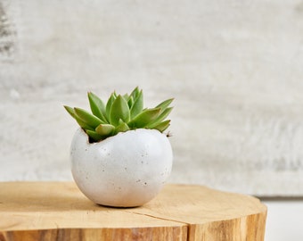 Medium Bohemian Shiny White Ceramic Planter Pot, Succulent Planter, Gift For Christmas, Round Low Wide Vase For Flowers