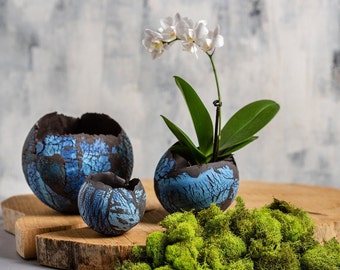 Set of 3 Blue And Black Ceramic Planters