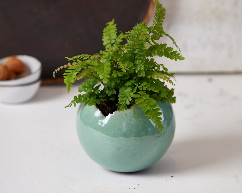 May include: A green ceramic planter with a crack in the side, holding a small fern plant.
