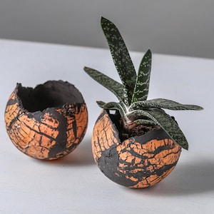 Set of 2 Medium Orange And Black Ceramic Egg-shape Planters