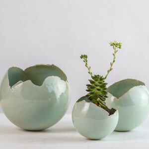 Può includere: Tre vasi in ceramica blu chiaro a forma di uova rotte. Il vaso più piccolo contiene una piccola pianta grassa verde con fiori bianchi.