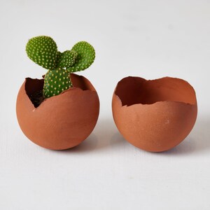May include: Two terracotta pots shaped like eggshells, one with a small green cactus plant growing inside.