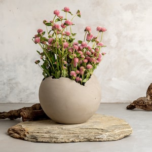 Könnte beinhalten: Ein grauer Beton-Topf in Eiform mit einem Riss an der Seite, der einen Strauß rosa Kugelamaranth-Blumen hält. Der Topf steht auf einer grauen Steinplatte.