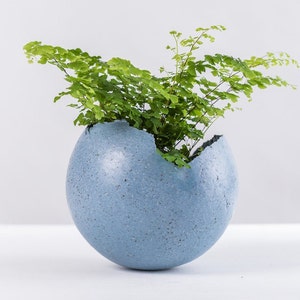 May include: A light blue, speckled, egg-shaped planter with a crack on one side. A green fern plant is growing out of the planter.