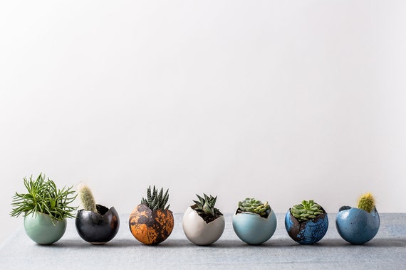 Set of 7 Small Ceramic Planters for Succulents, Home Decor