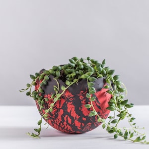 May include: A round, handcrafted planter with a striking red and black cracked finish. The planter holds a cascading string of pearls succulent plant. The pot's unique texture and color contrast create a modern, artistic look for home decor.