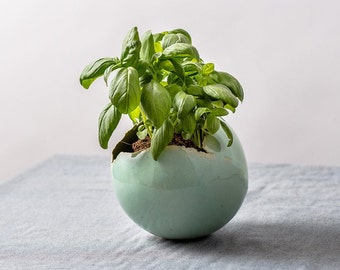 Medium Mint Green Ceramic Planter for Cacti with Drainage Hole and Saucer | Elegant Centerpiece | Round Vase For Plants