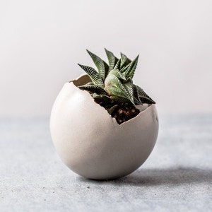 Small White Modern Planter with a Drainage Hole And Saucer Pottery Pot For Succulent And Cactus Unique Pottery Gift image 1
