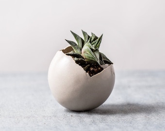 Small White Modern Planter with a Drainage Hole And Saucer | Pottery Pot For Succulent And Cactus | Unique Pottery Gift