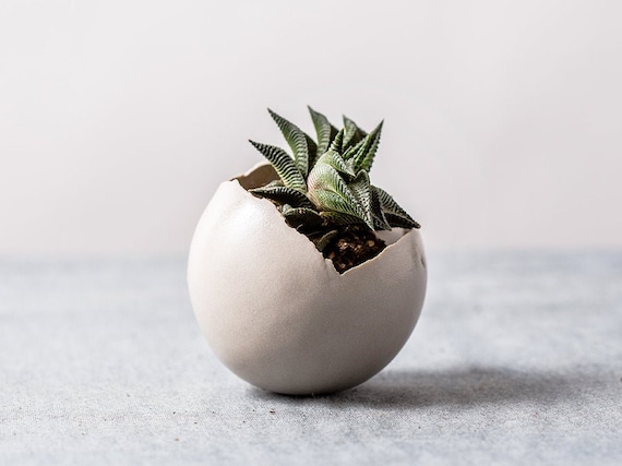 Kleiner weißer moderner Blumentopf mit Untersetzer | Keramik Topf für Sukkulenten und Kakteen | Einzigartiges Keramik Geschenk
