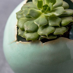 Small Green Ceramic Planter for Cactus Mini Round Succulent Pot image 5