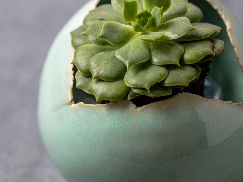 Small Green Ceramic Planter for Cactus Mini Round Succulent Pot image 5