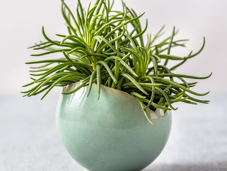 Small Green Ceramic Planter for Cactus Mini Round Succulent Pot image 2