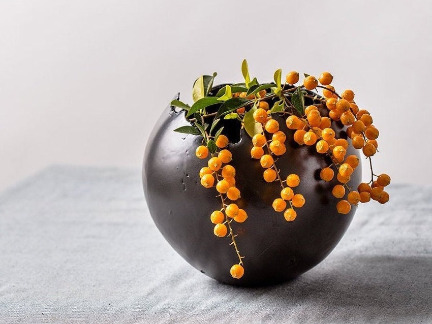 Planteur en Céramique Noire Moyenne Pour Succulent avec Trou de Drainage et Soucoupe | Vase Rond For