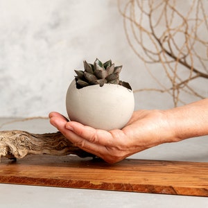 Set med 3 betonggrå rustika handgjorda eklektiska keramiska planteringskärl, unik modern bohemisk heminredning, dekorativa planteringskärl inomhus bild 8