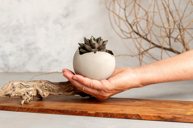 Set med 3 betonggrå rustika handgjorda eklektiska keramiska planteringskärl, unik modern bohemisk heminredning, dekorativa planteringskärl inomhus bild 8