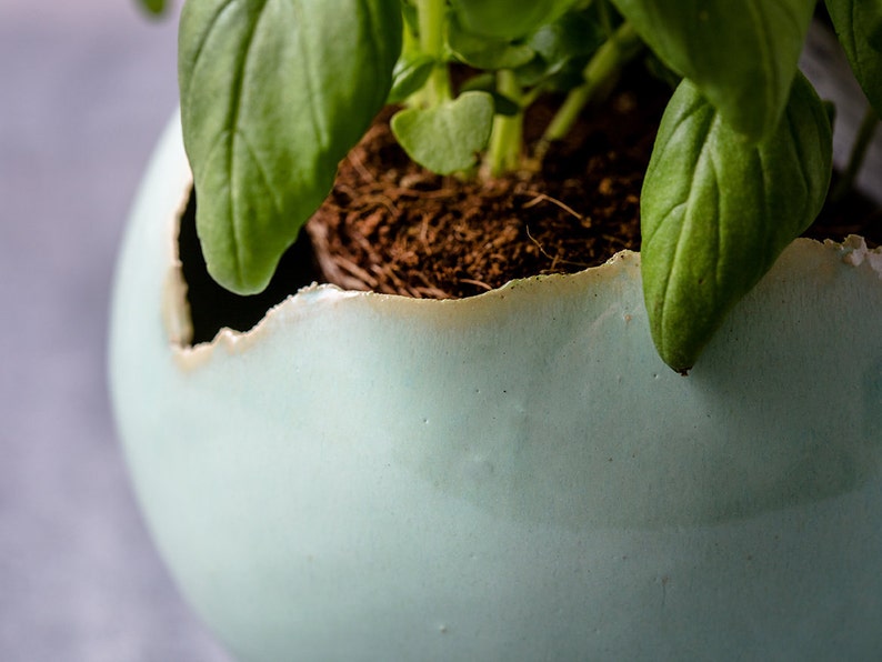 Small Green Ceramic Planter for Cactus Mini Round Succulent Pot image 3