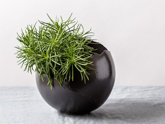 Fioriera con drenaggio, vaso per piante da interno, fioriera in ceramica in bianco e nero, supporto per fioriera moderno, vaso per cactus succulenti da 4 con piattino - Italia