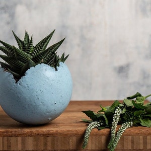May include: A light blue, cracked, spherical planter with a green succulent plant inside. The planter is sitting on a wooden surface.