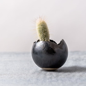 Puede incluir: Un pequeño cactus en una maceta de cerámica negra en forma de huevo. La maceta tiene una abertura agrietada en la parte superior, que revela la textura verde y espinosa de la planta. La maceta está sobre una superficie gris.