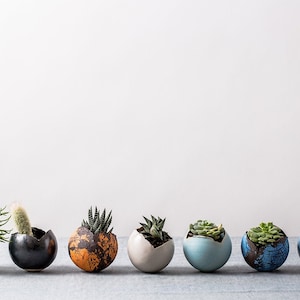 Large White Ceramic Planter for Succulent or Flowers, Egg Shape Vase, Wedding Gift, Contemporary Indoor Plant Round Pot image 8