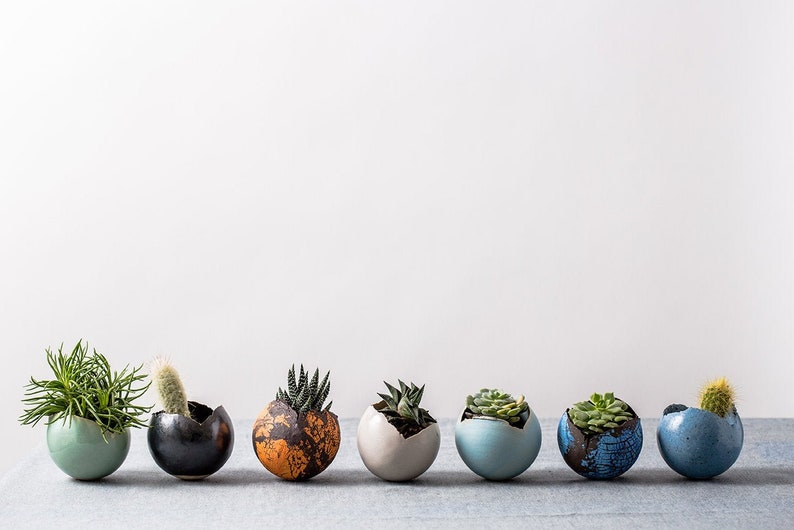 Large White Ceramic Planter for Succulent or Flowers, Egg Shape Vase, Wedding Gift, Contemporary Indoor Plant Round Pot image 8