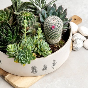 Multi Succulent Handmade Indoor Ceramic Planter, Housewarming / Birthday Gift, Unique Succulents Planter Pot image 7