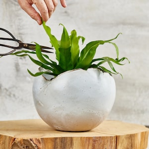 Large White Shiny Handmade Ceramic Planter, Succulent Indoor Planter, Entrance Vase, Modern Pottery Round Planter Pot