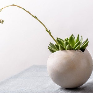 Large White Ceramic Planter for Succulent or Flowers, Egg Shape Vase, Wedding Gift, Contemporary Indoor Plant Round Pot image 4