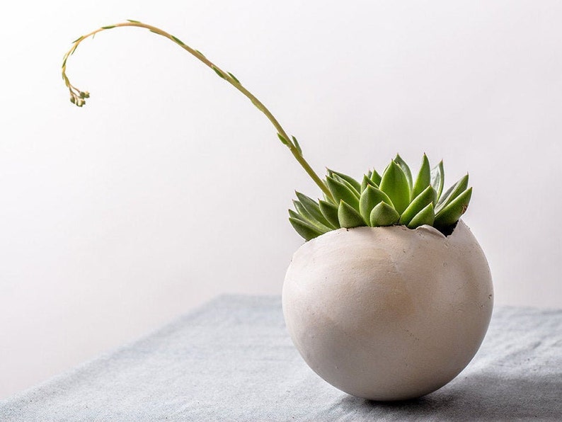 Large White Ceramic Planter for Succulent or Flowers, Egg Shape Vase, Wedding Gift, Contemporary Indoor Plant Round Pot image 4