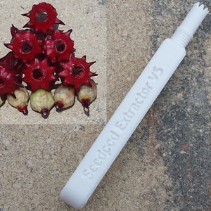 3D Printed Sorrel (Roselle Hibiscus) De-Seeding / Deseeding Tool - Effortless Seed Removal for Fresh Sorrel Fruit