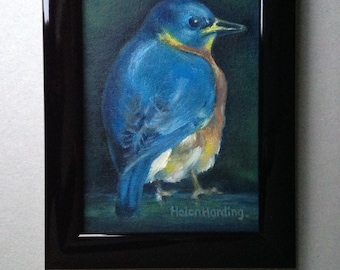 Bluebird Painting. Hand-painted Original Oil Painting. Shiny Black Frame Made In UK