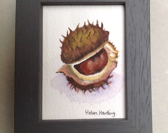 Miniature Conker Painting: Original Framed Watercolor Art