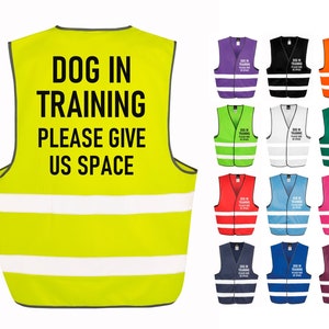 Dog In Training Walking Hi-Vis Waistcoat Reflective Safety Vest