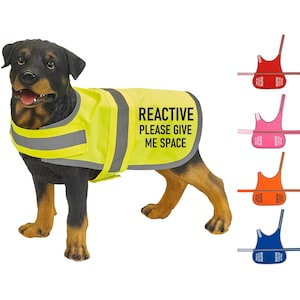 May include: A black and brown dog wearing a yellow safety vest with the text "REACTIVE PLEASE GIVE ME SPACE". The vest has reflective strips. The dog is standing on a white background. There are four other vests in the image, in red, pink, orange, and blue, with the same text.