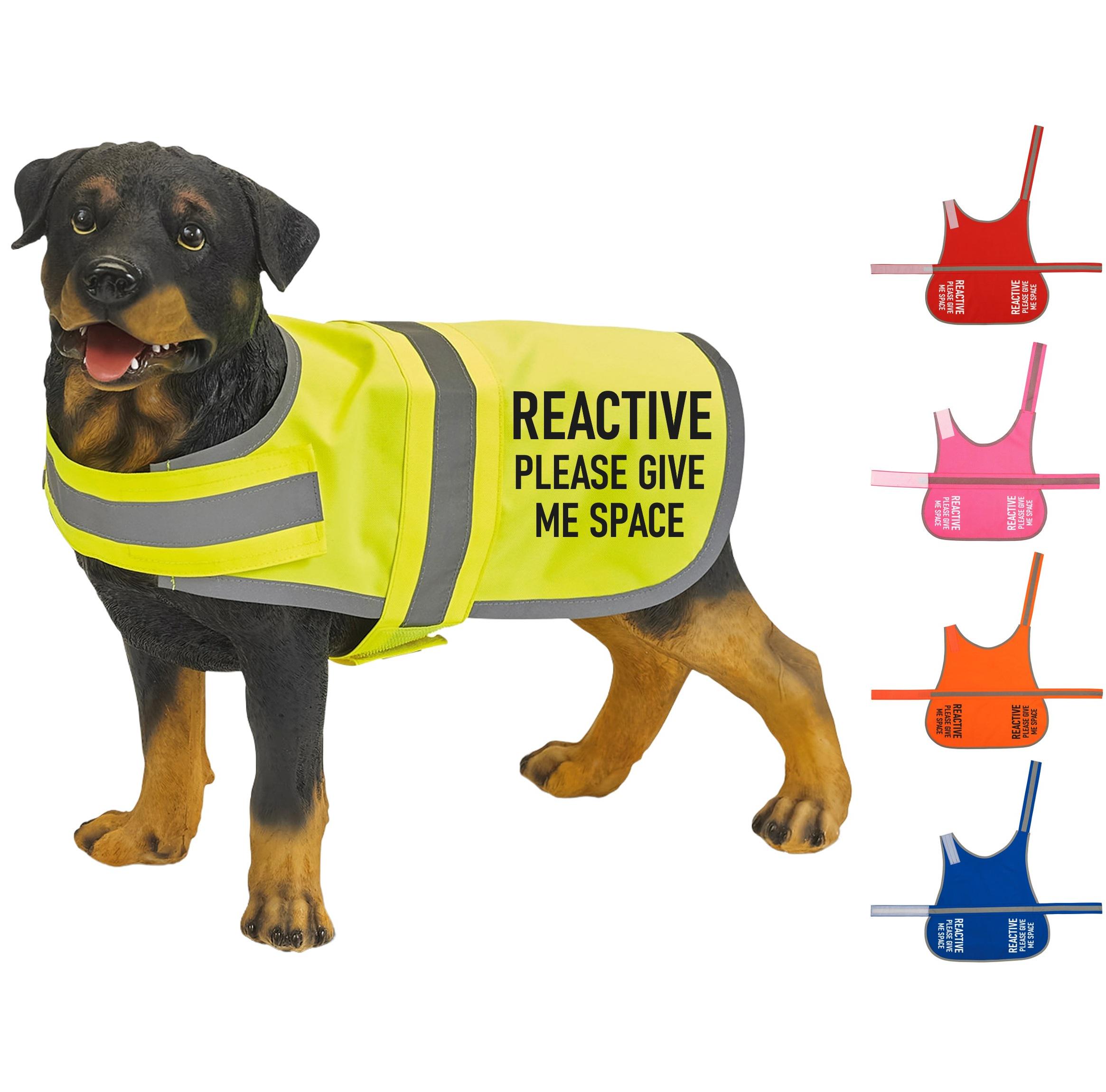 Reactive Please Give Me Space Hi-vis Dog Vest Walking Training
