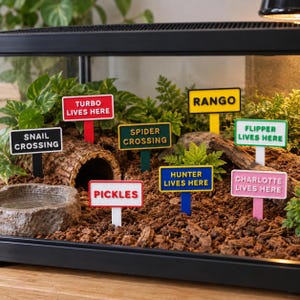 May include: A collection of small, colourful plastic signs for a terrarium, including red, black, yellow, green, blue, and pink stakes. The signs feature text such as Turbo Lives Here, Snail Crossing, Rango, Spider Crossing, Pickles, Hunter Lives Here, Flipper Lives Here, and Charlotte Lives Here, all arranged in a soil-filled enclosure.