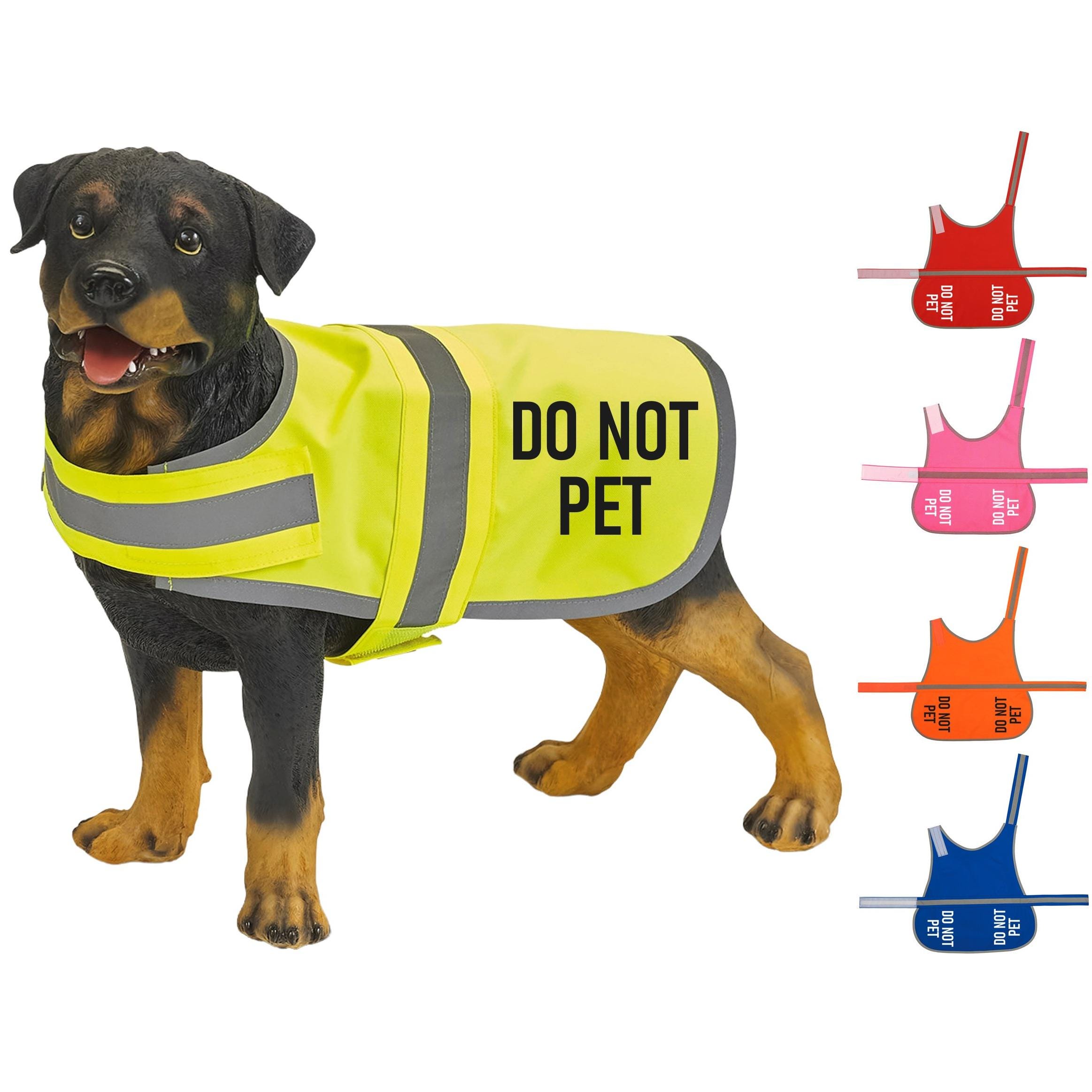 Lustige Hundeleine „Nervous Rescue Please Don't Pet“ – Gelb, 22x6 Cm, Polyester, Waschbar