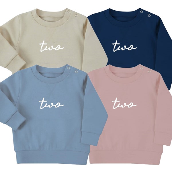 Two 2nd Birthday Baby & Toddler Sustainable Sweatshirt Party Outfit Gift