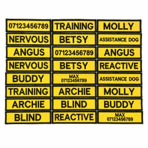 May include: A selection of yellow and black embroidered patches. The patches feature words like "TRAINING", "NERVOUS", and dog names such as "MOLLY" and "ANGUS". Some patches include phone numbers and the text "ASSISTANCE DOG".