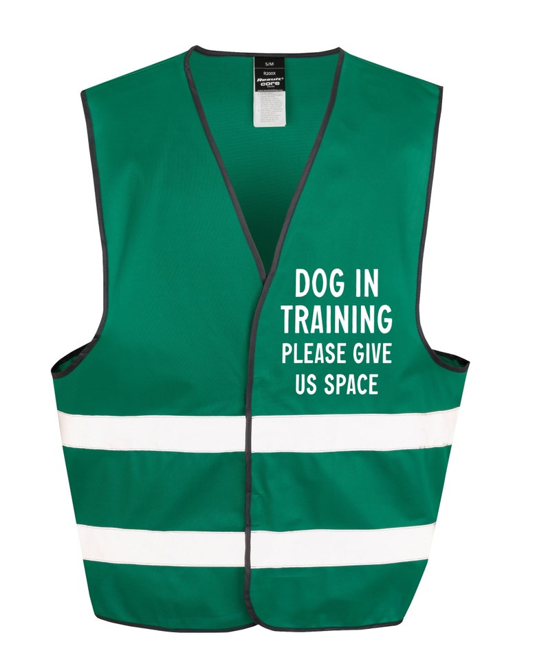 Dog in Training Walking Hivis Waistcoat Reflective Safety Etsy