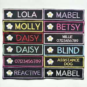 May include: A collection of black embroidered patches with various names and phrases in different colors. Each patch features a white daisy and a colored border. Names include "LOLA", "MABEL", "MOLLY", "BETSY", "DAISY", "MILLIE", "BLIND", "ASSISTANCE DOG", and "REACTIVE".