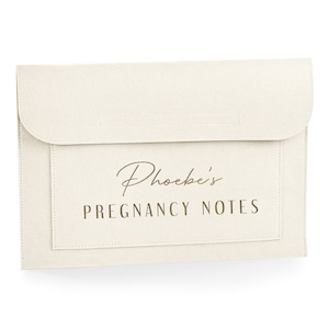 Personalised Name Baby Document Folder Pregnancy Notes Birth Plan Memories Bag