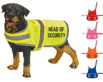Head Of Security Hi-Vis Dog Vest Walking Training Reflective Safety Jacket Scared Reactive